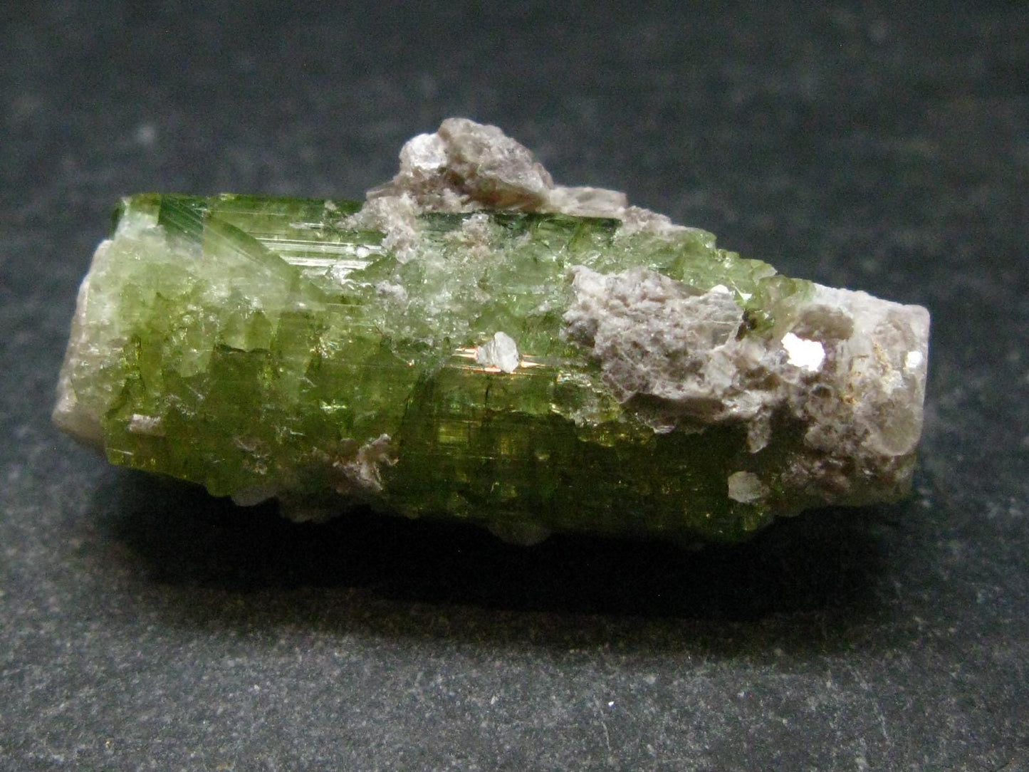 Rare Watermelon Tourmaline Crystal From Brazil - 1.4" - 60.0 Carats