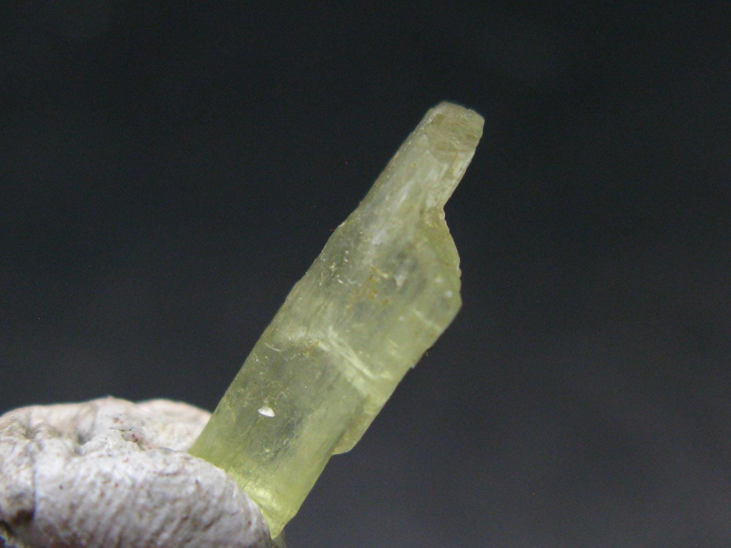 Pargasite Gem Crystal from Burma - 2.95 Carats