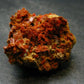Rare Orange Crocoite Cluster From Australia - 1.3"- 30.40 Grams