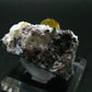 Museum Golden Apatite Cluster From Mexico - 2.2"