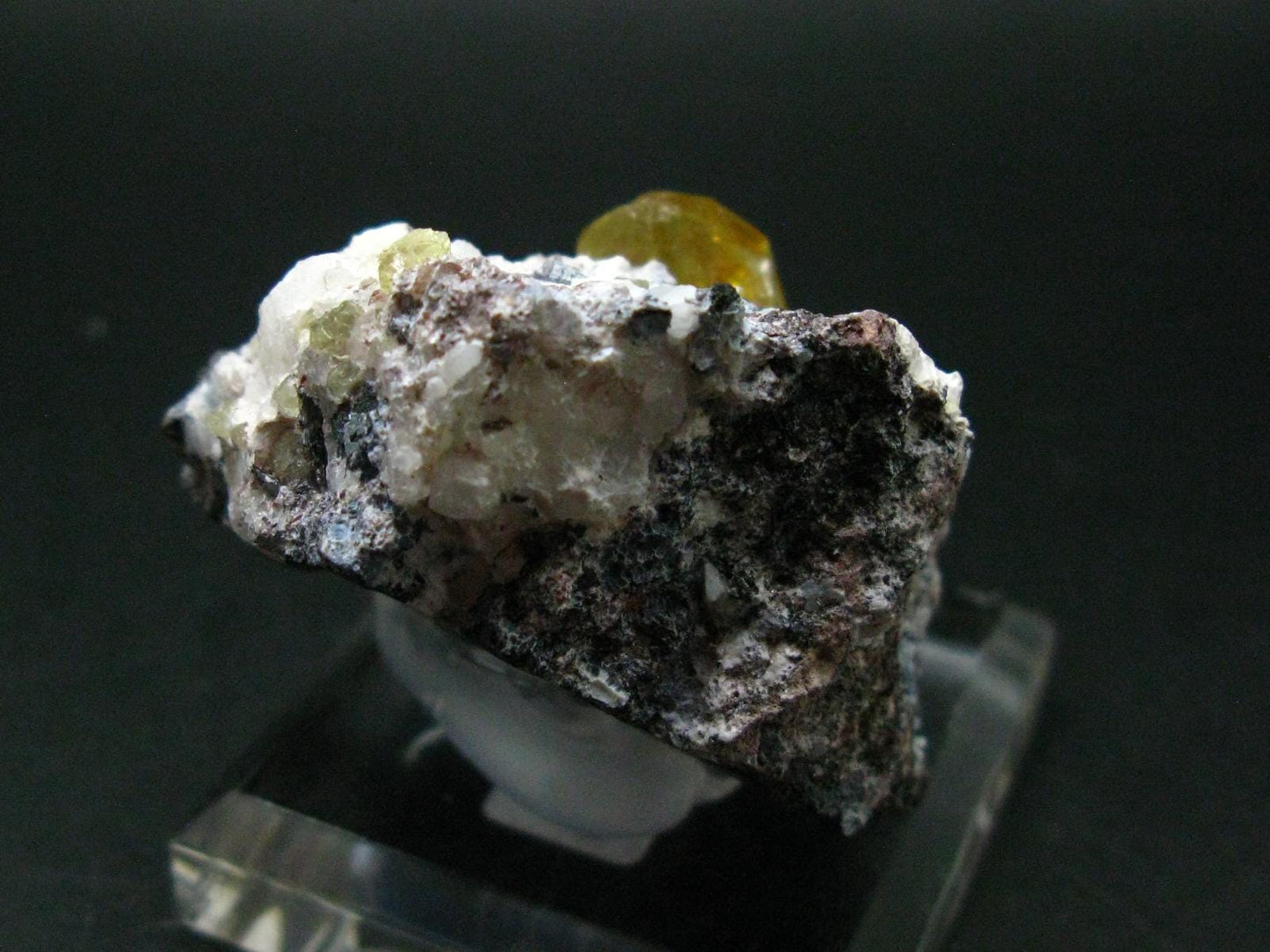 Museum Golden Apatite Cluster From Mexico - 2.2"