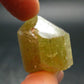 Large Gold Apatite Crysatl from Mexico - 26.15 Grams - 1.1"