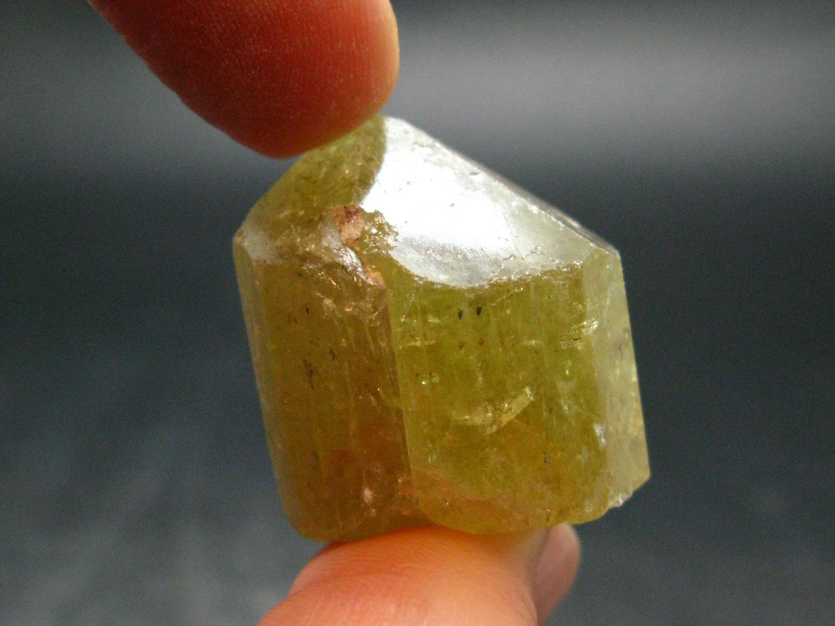 Large Gold Apatite Crysatl from Mexico - 26.15 Grams - 1.1"