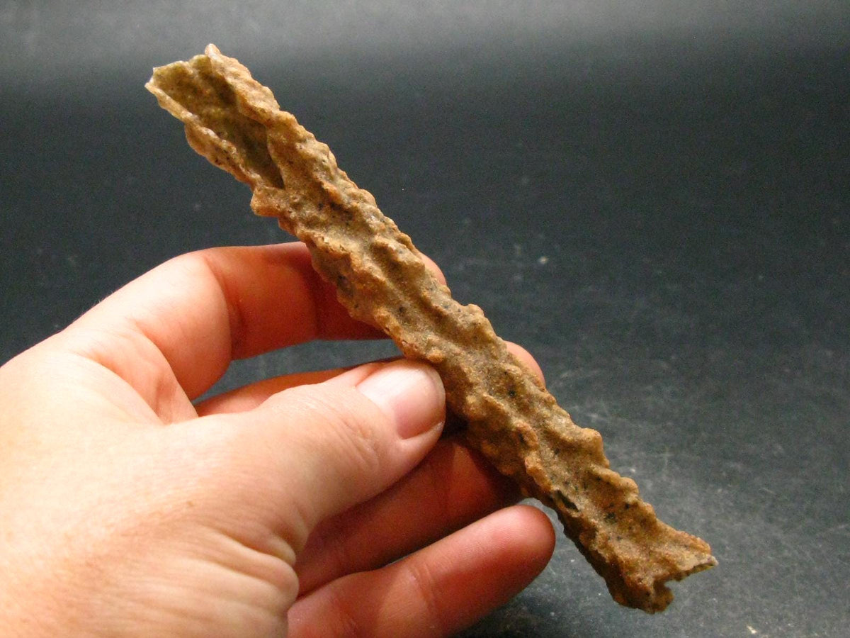 Large Fulgurite Lightning Rock From Sahara Desert - 4.7" - 7.0 Grams