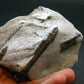 A Perfect Staurolite Crystal from Russia - 3.8" - 318.88 Grams