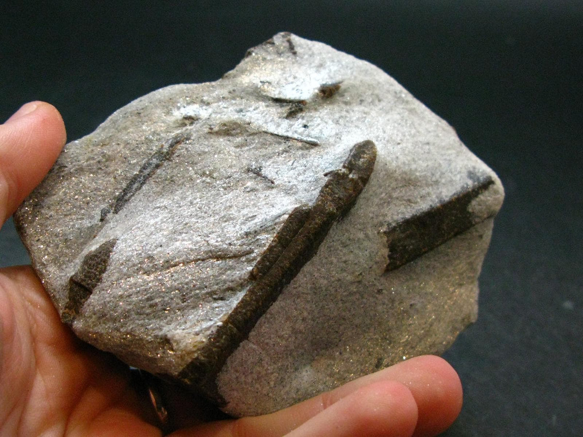 A Perfect Staurolite Crystal from Russia - 3.8" - 318.88 Grams