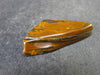 Rare Genesis Jasper Tumbled Stone From USA - 1.3" - 5.26 Grams