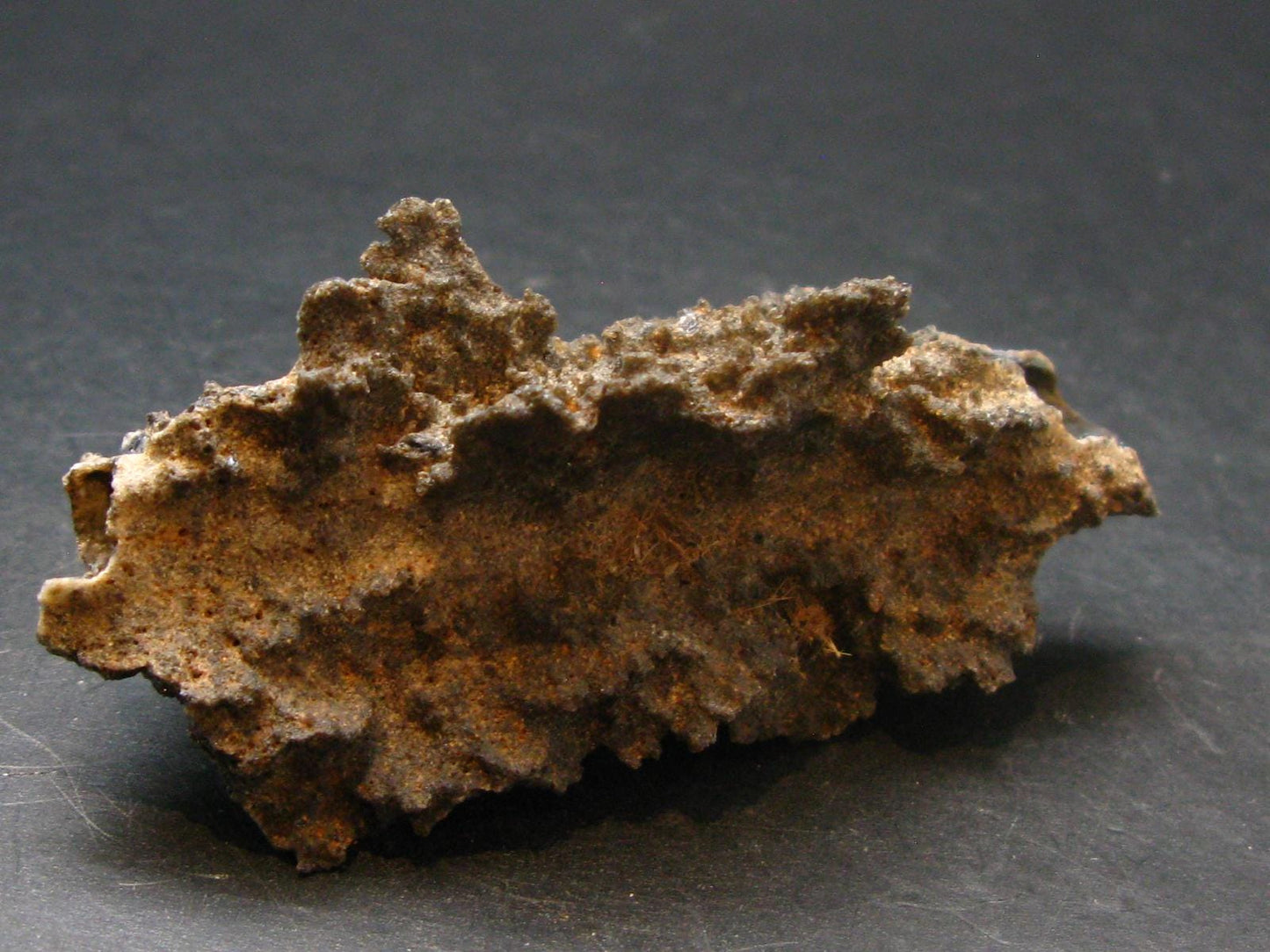 Large Fulgurite Lightning Rock From Sahara Desert - 3.1"