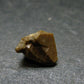 Rare Monazite Crystal From Brazil - 0.5" - 0.96 Grams