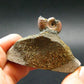 Pyritized Ammonite Fossil On Pyrite Matrix From Russia 150 MYO - 1.4" - 36.43 Grams