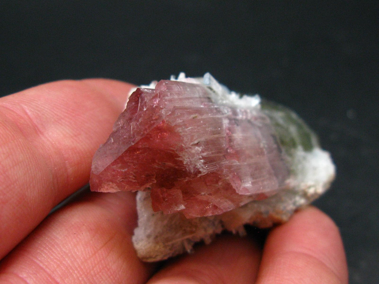 Rare Watermelon Tourmaline Crystal From Pakistan - 2.3" - 56 Grams