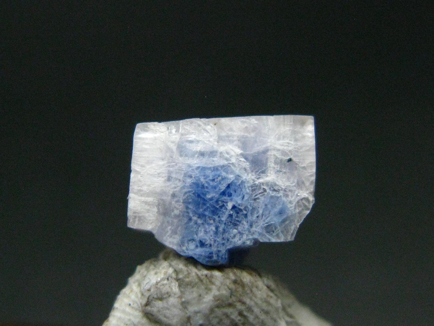 Fine Rare Carletonite Crystal From Mt. St. Hilaire Canada - 0.4" - 0.73 Grams
