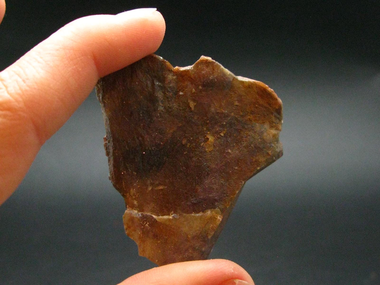 Rare Auralite Super 23 Large Crystal Amethyst From Canada - 1.9" - 35.16 Grams