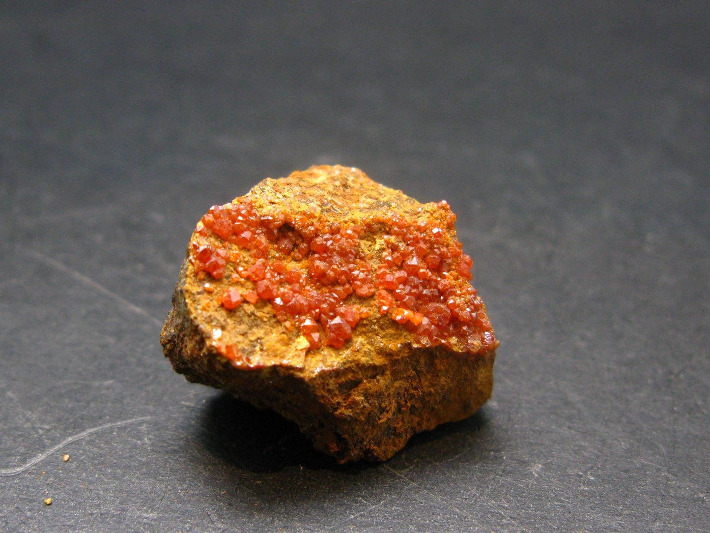 Wulfenite Cluster From Arizona - 0.8"