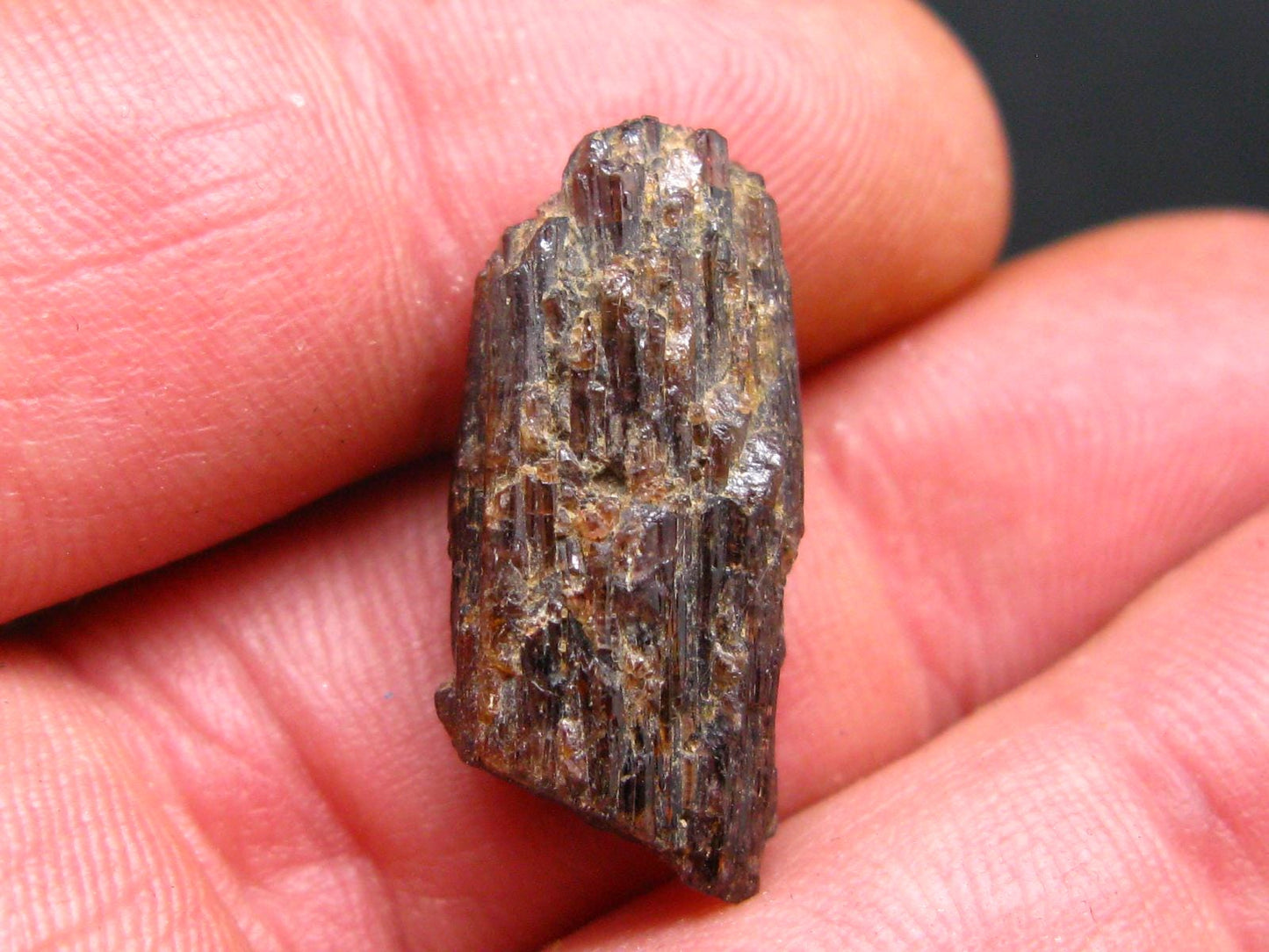 Rare Painite Crystal From Myanmar - 23.65 Carats