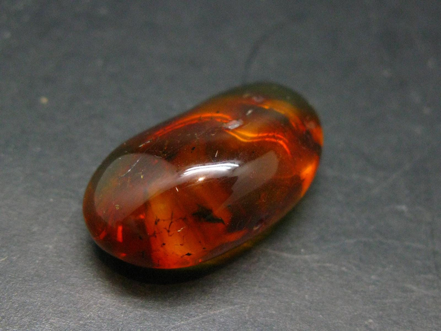 Insects in Amber Piece From Baltic Sea - 5.10 Grams - 1.4"