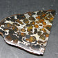 Large Sericho Meteorite Pallasite Olivine Slice From Kenya - 2.8" - 20.07 Grams