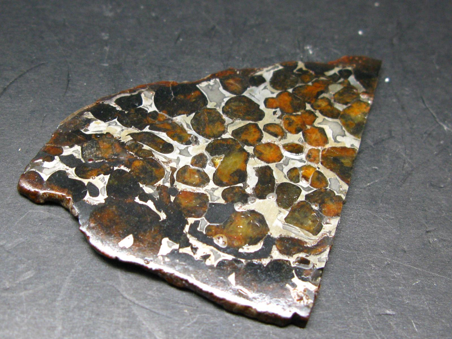 Large Sericho Meteorite Pallasite Olivine Slice From Kenya - 2.8" - 20.07 Grams