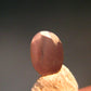 Alexandrite Chrysoberyl Cut Facetted Gem From Russia - 0.33 Carats