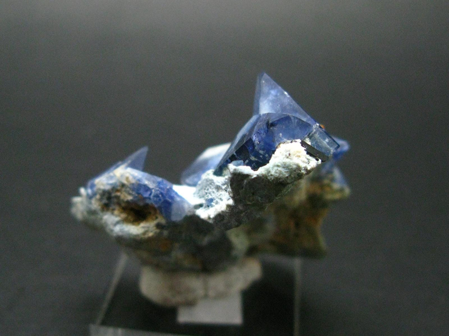 Museum Benitoite and Neptunite on Natrolite Cluster From California - 2.1"