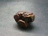 Rare Prophecy Stone Limonite after Pyrite From Egypt - 1.5" - 58.3 Grams