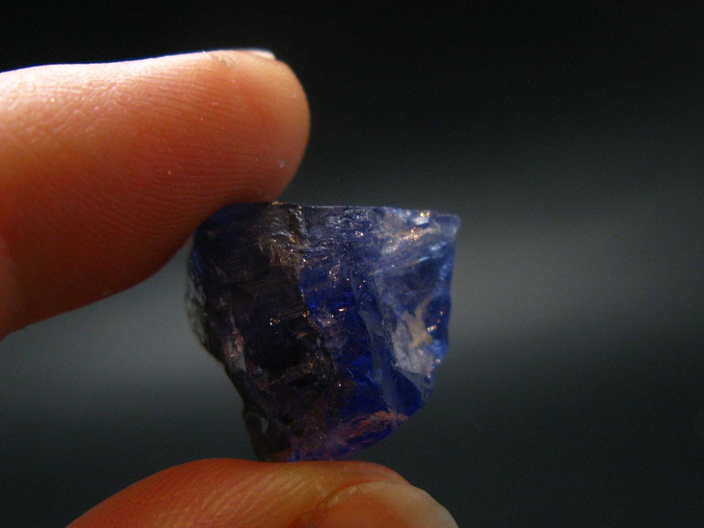 Synergy 12 Set Phenakite Moldavite Natrolite Petalite Danburite Tektite Scolecite Herderite Tanzanite Brookite 135.64 Gr