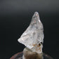 Phenakite Phenacite Crystal from Nigeria 1.83 Grams - 0.7"