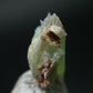 Very Rare Phosphophyllite Crystal From Bolivia - 0.6" - 0.51 Grams