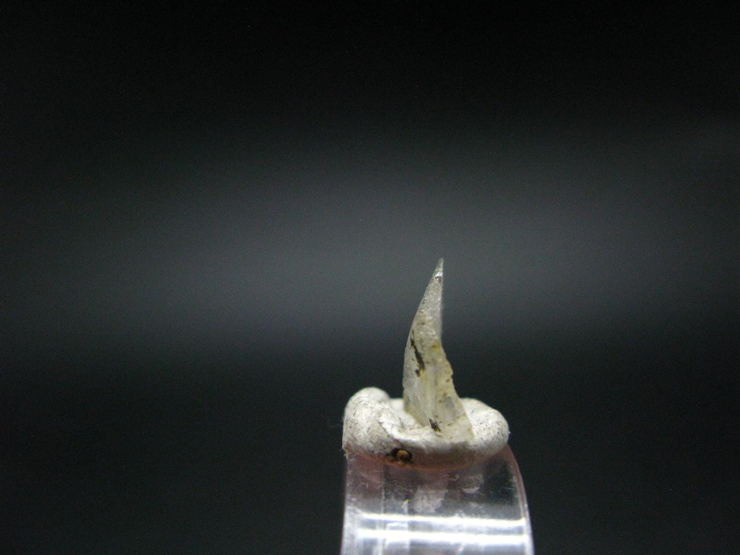 Phenakite Phenacite Slice Crystal From Brazil - 0.94 Grams - 0.6"