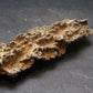 Large Fulgurite Lightning Rock From Sahara Desert - 3.3"