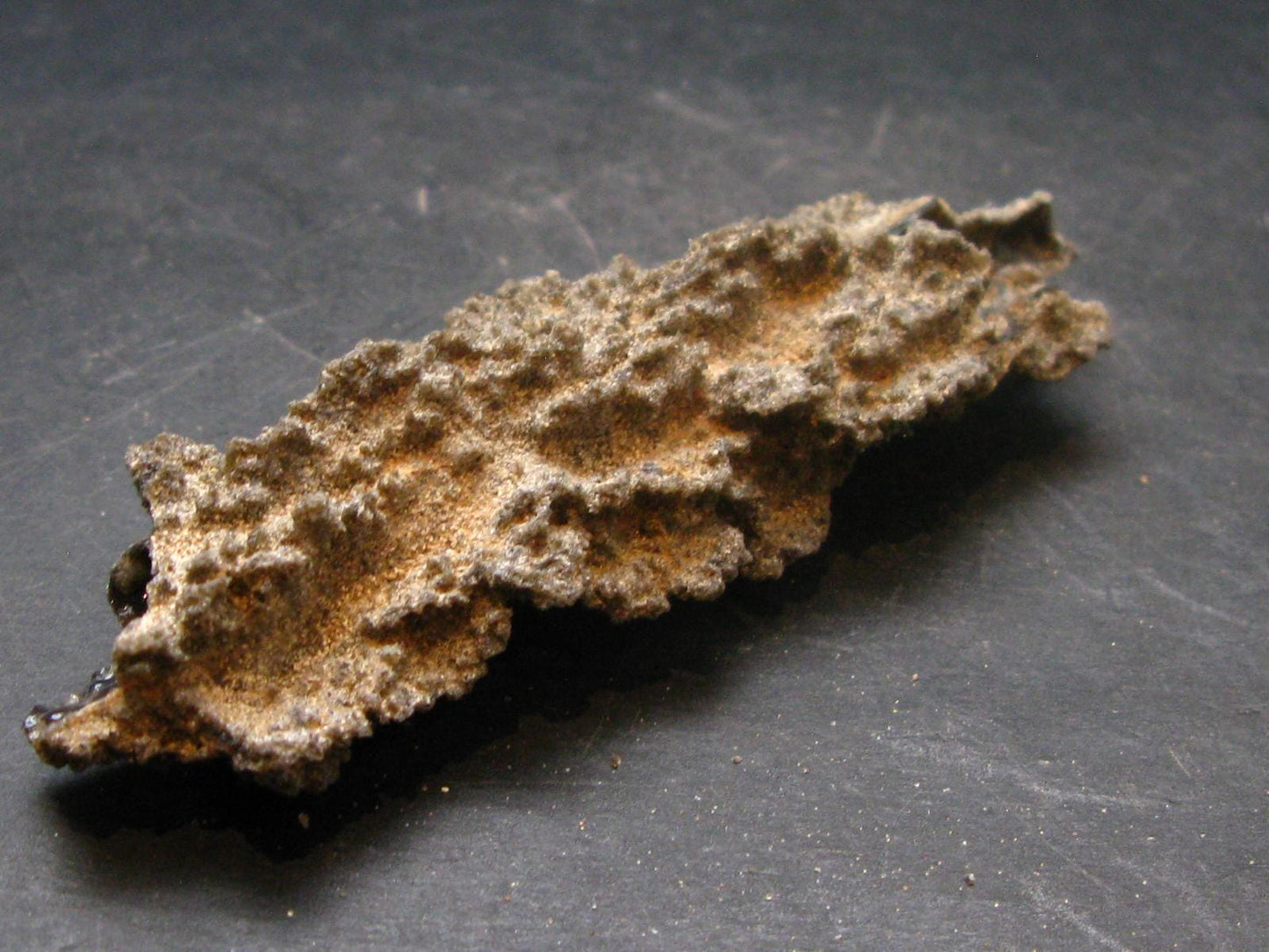 Large Fulgurite Lightning Rock From Sahara Desert - 3.3"