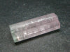 Rare Watermelon Tourmaline Crystal From Brazil - 1.3" - 46.65 Carats