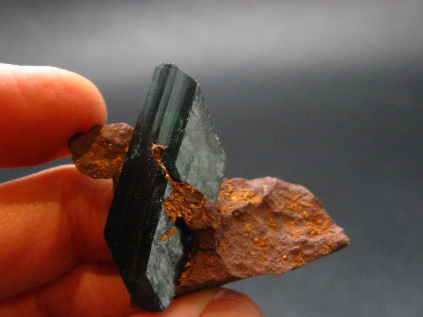 Vivianite Crystal From Bolivia - 1.7" - 13.4 Grams