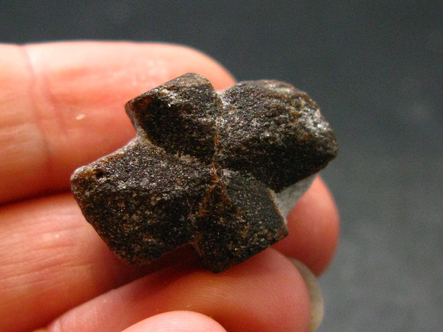 A Perfect Staurolite Crystal on Matrix from Russia - 0.9" - 7.88 Grams