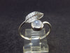 Natural Glow From Inside Moonstone 925 Silver Ring - 1.88 Grams - Size 8.5