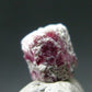 Nice Rare Gem Bixbite Red Emerald Beryl Crystal From Utah USA - 2.93 Carats