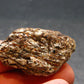 Astrophylite Astrophyllite Cluster From Russia - 1.4" - 12.0 Grams