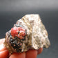 Rhodochrosite Gem Cluster From Peru - 2.0" - 62.10 Grams