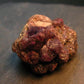 Alexandrite Chrysoberyl Cluster From Zimbabwe - 39.10 Grams - 1.7"