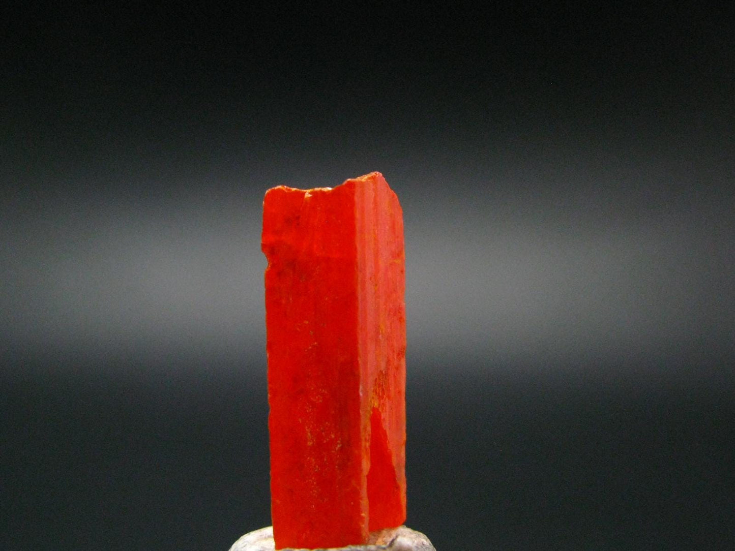 Large Orange Crocoite Crystal From Australia - 0.8" - 6.9 Carats