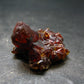 Stunning Fire Red Zincite Zinkite Cluster From Poland - 1.0" - 15.55 Grams