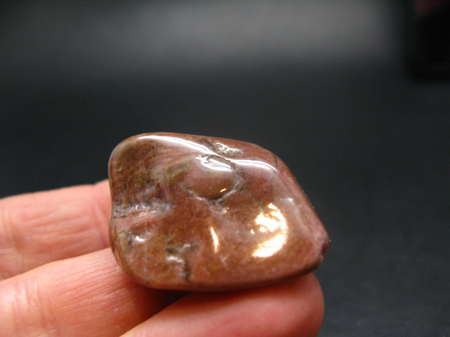 Rare Bustamite Piece from South Africa - 1.1" - 20.87 Grams