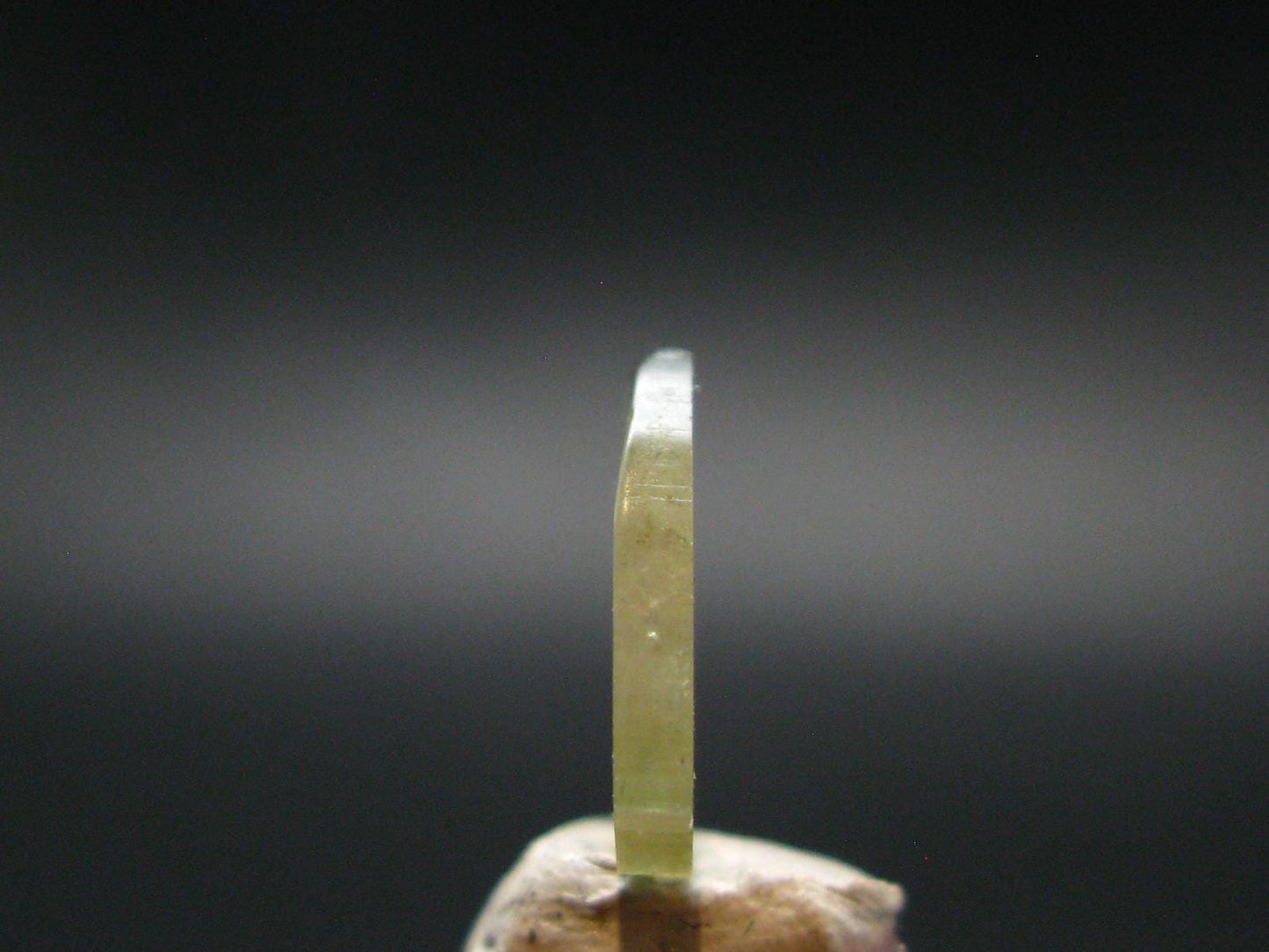 Rare Watermelon Tourmaline Crystal Slice From Brazil - 4.05 Carats