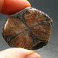 Andalusite Chiastolite Crystal From China - 1.4" - 20.82 Grams
