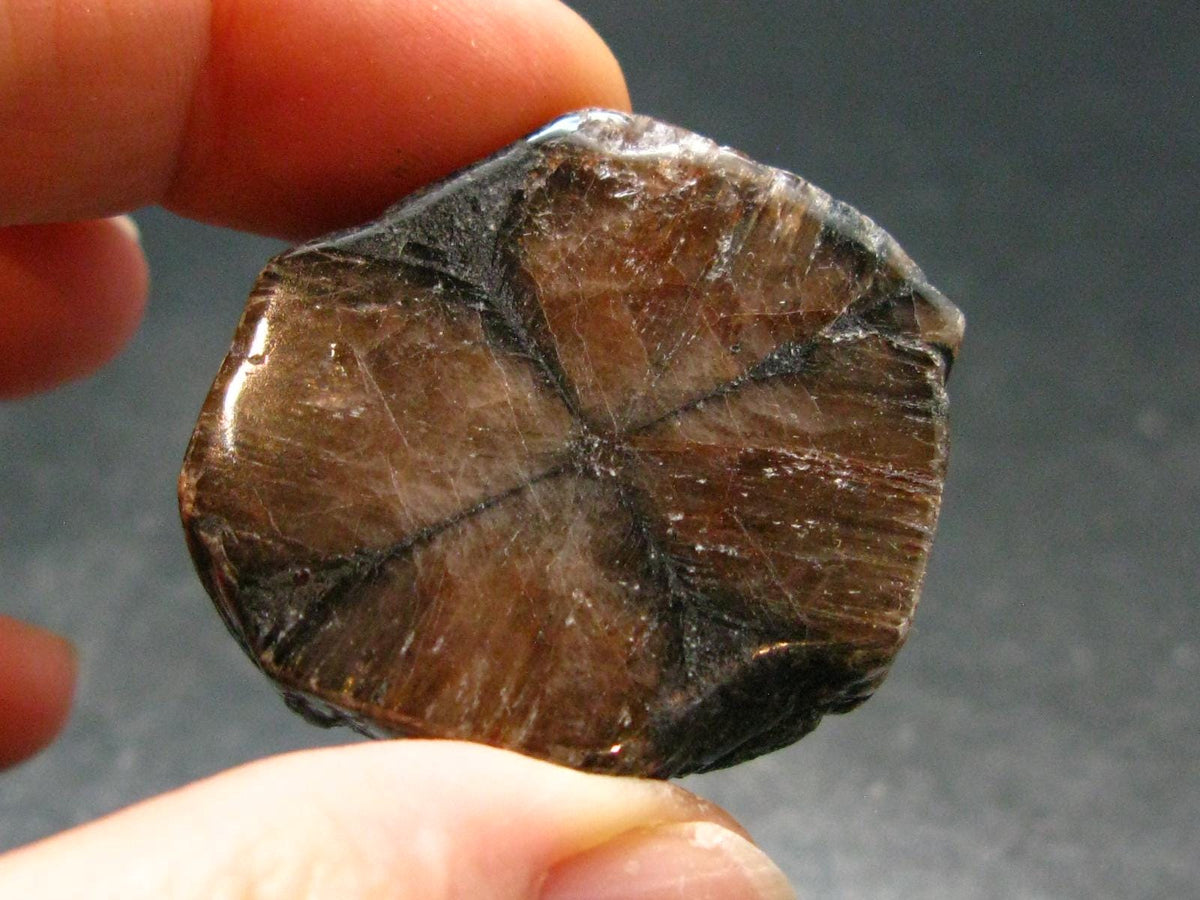 Andalusite Chiastolite Crystal From China - 1.4" - 20.82 Grams