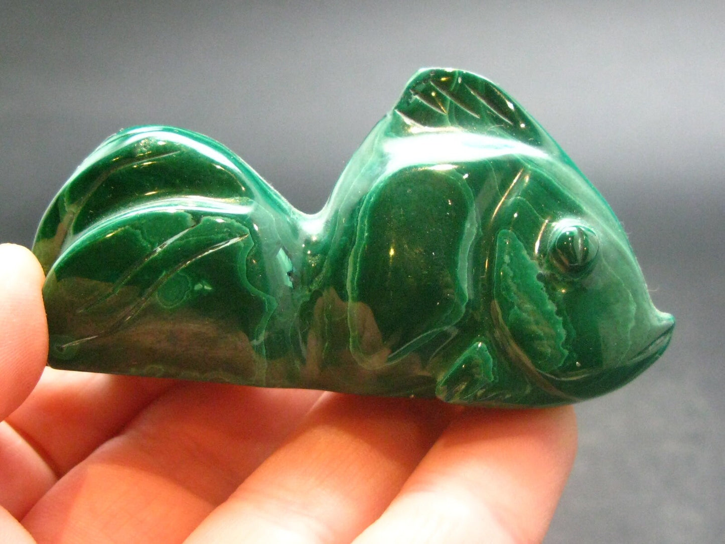 Rich Vivid Vibrant Green Malachite Fish From Congo - 2.6"