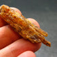 Rare Orange Kyanite Crystal From Tanzania - 1.9" - 8.47 Grams