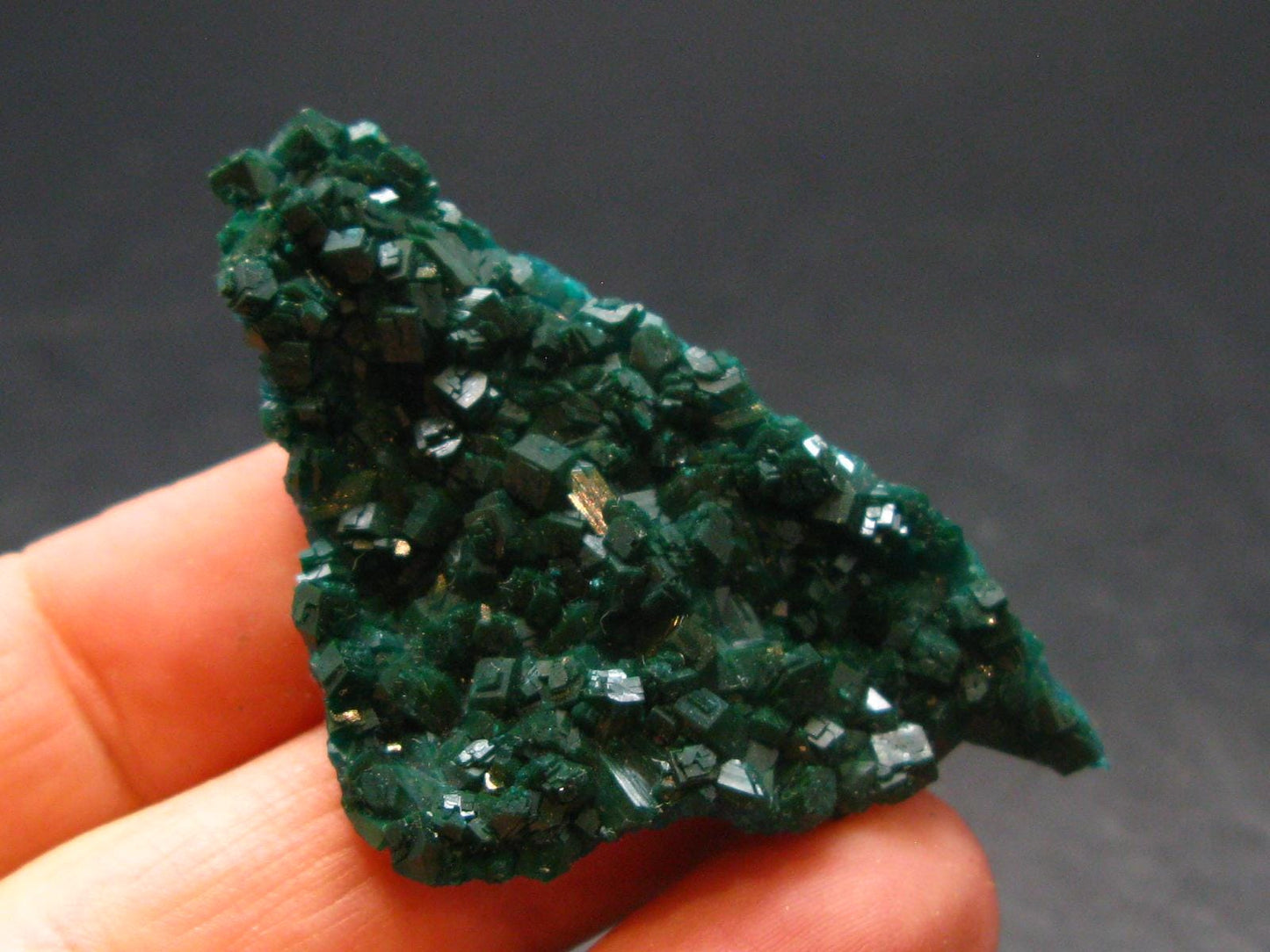 Very Nice Dioptase Cluster from Congo - 2.0" - 8.58 Grams