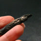 Aegirine Crystal From Malawi - 2.0" - 4.41 Grams