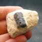 Large Blue Sapphire Corundum Cluster From Madagascar - 1.3"